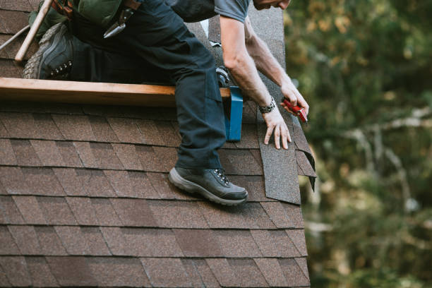 Best Roof Gutter Cleaning  in Rainier, OR